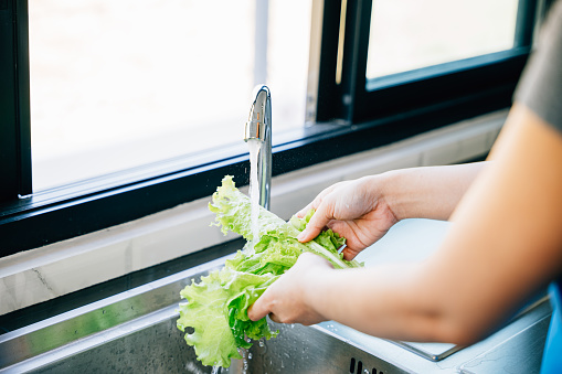 Woman's hands washing assorted vegetables in a sink with running water creating a vegan salad in a modern kitchen. Hygiene and freshness emphasized in homemade healthy food prep.