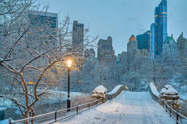 istock Gapstow Bridge in Central Park,snow storm 1907005575