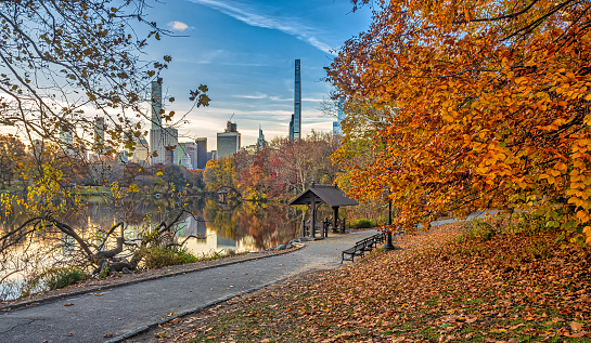 At he lake in Central Park, New York City, Manhattan in late autumn, early morning
