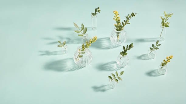 istock small vases with beautiful spring flowers and leaves on a light blue background 1907006114