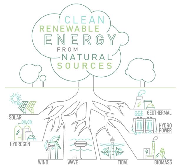 Renewable Roots Re Root 430+ Tree Roots Infographic Ilustraciones de Stock, gráficos ...