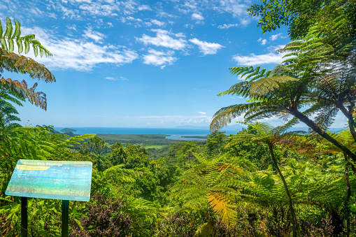 Walu Wugirriga Lookout, Queensland, Australia: Also known as Mount Alexandra Lookout, the Daintree River can be seen as it flows into the ocean.