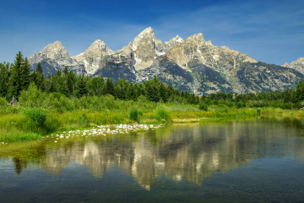 istock Grand Teton National Park 1907026605