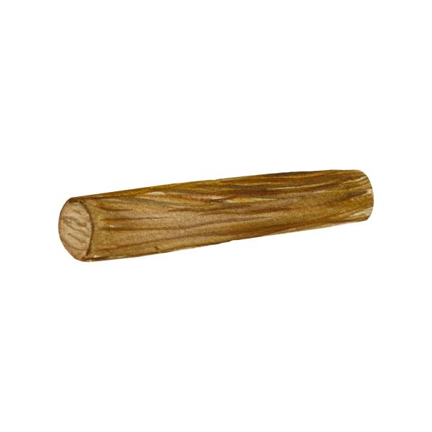istock Rolling pin wooden hand drawn watercolor sketch 1907032451