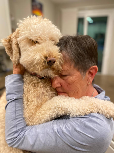 istock Middle aged woman hugging a Labradoodle with affection 1907035622