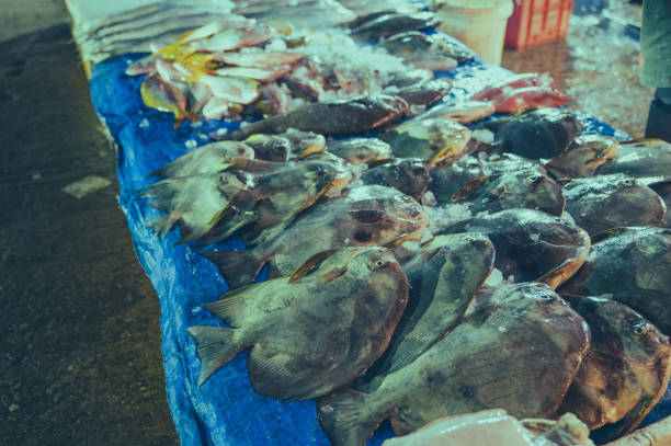 istock Fresh fish at a Morning Fish Market 1907041516
