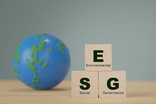 istock wooden block ESG concept. 1907043107