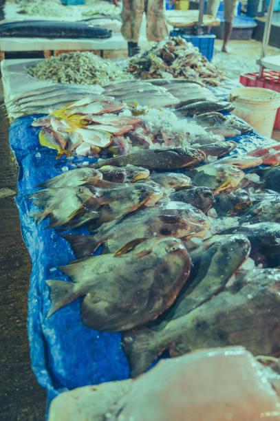 istock Fresh fish at a Morning Fish Market 1907044682
