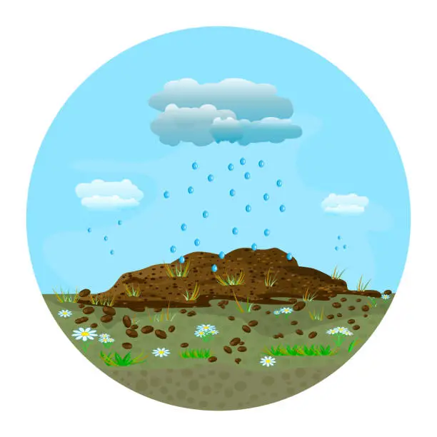 Vector illustration of Rain of cloud falling on pile soil with grass inside round shape isolated on white background. Arid earth, young plant and water drops.