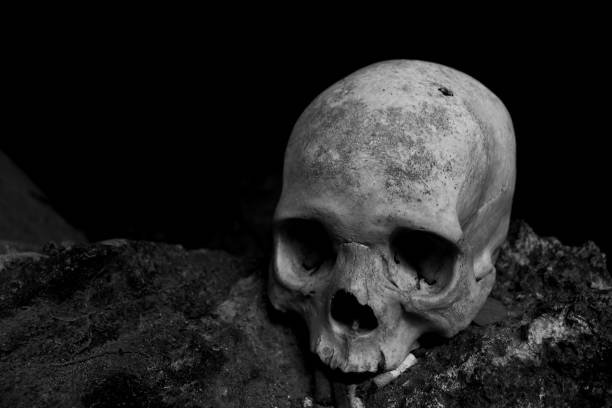 istock Human skulls in burials in caves 1907130717