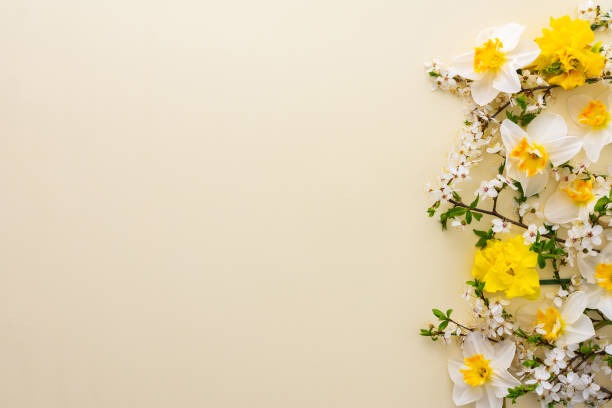 Festive background with spring flowers