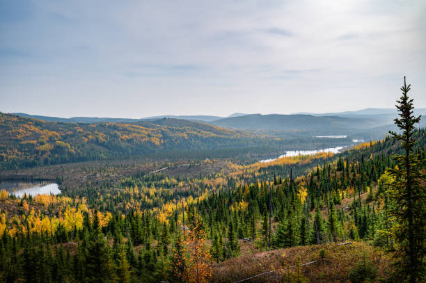 istock Fall landscape over Grands-Jardins national park 1907159968