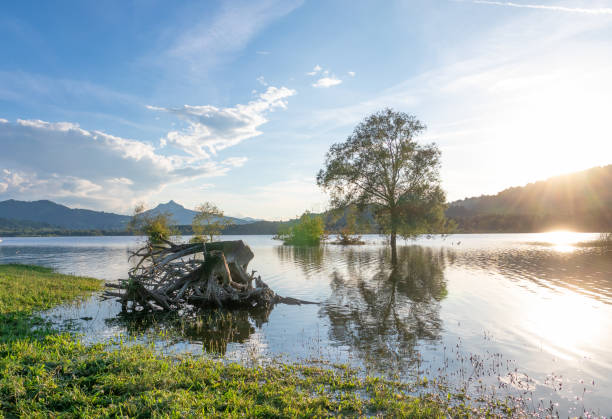 istock Lake Gruentensee in Bavaria, Germany 1907223027