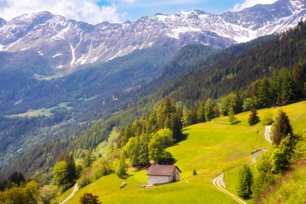 istock Green mountain valley in Swiss alps 1907251713
