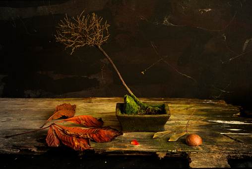 Still life with food, flowers, seeds. Yellow and brown grading