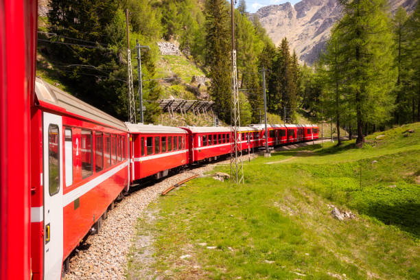 istock Red train moving in beautiful green summer forest in Switzerland 1907257527
