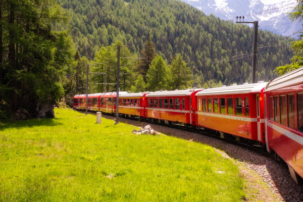 istock Red train moving in beautiful green summer forest in Switzerland 1907258578