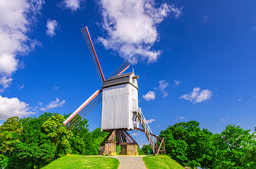 Traditional old windmill on green hill in Brugge city, blue sky white clouds background in summer sunny day, white wooden wind mill with sails, path in park with green trees, Flemish Region, Belgium