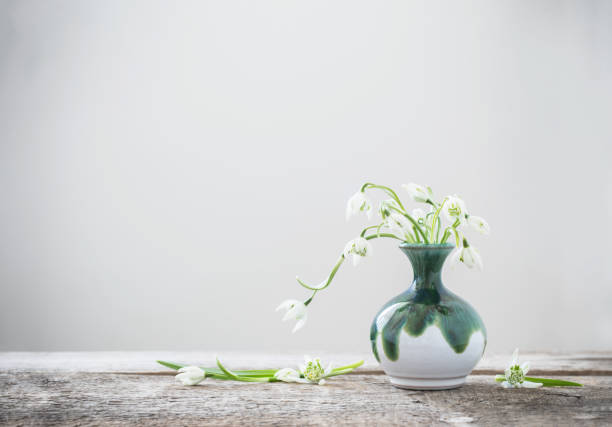 white snowdrops in green vase on white background