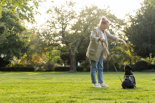A young teenage girl hugs her French bulldog dog in a park on the grass.
