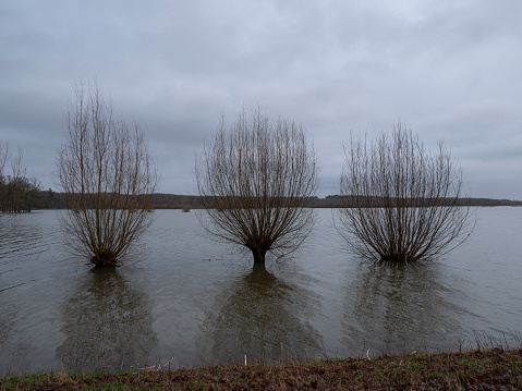 This photo is taken while there is high water in the Netherlands at the rivers.