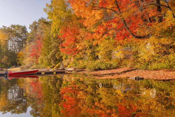 istock Reflections Of Autumn Colours 1907335574