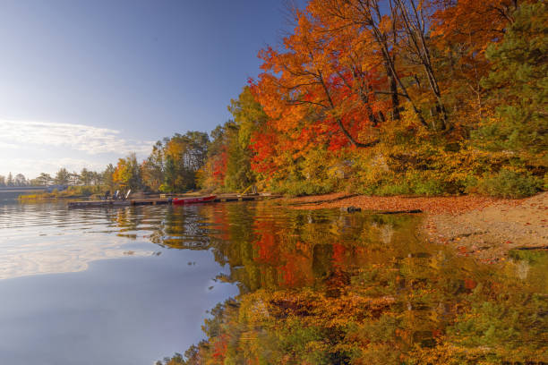 istock Reflections Of Autumn Colours 1907335580
