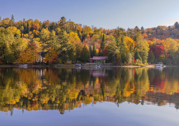 istock The Splendor Of Autumn 1907336115