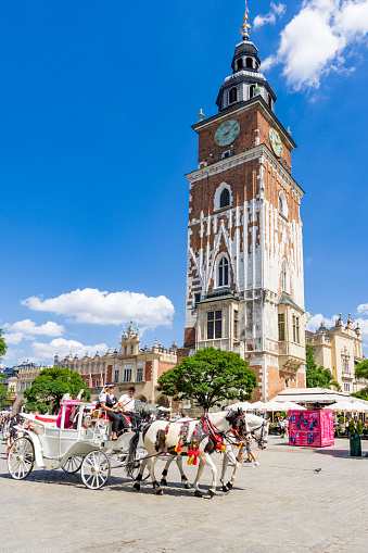 Krakow, Poland - July 18, 2023: Horse carriage passing Sukiennice Cloth hall and tower on main square in Krakow Malopolska region in Poland