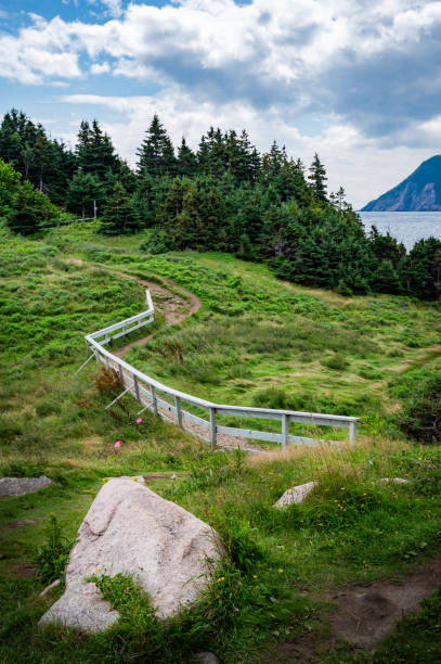 istock Middle head trail in summer, Ingonish Beach 1907376309