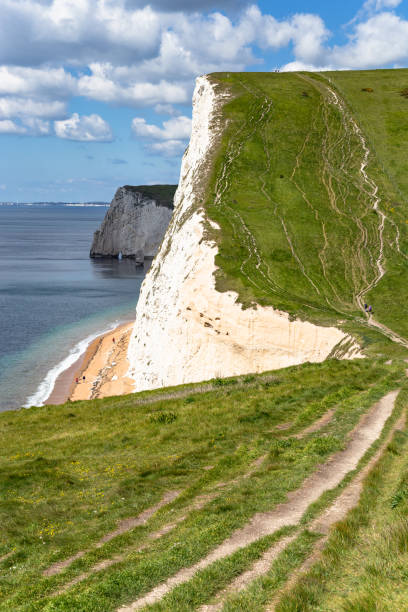 istock Jurassic coastline footpath Dorset England 1907381880