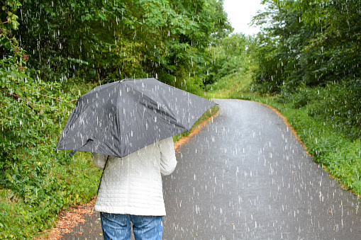 People in the rain with umbrellas while walking on a footpath in green nature