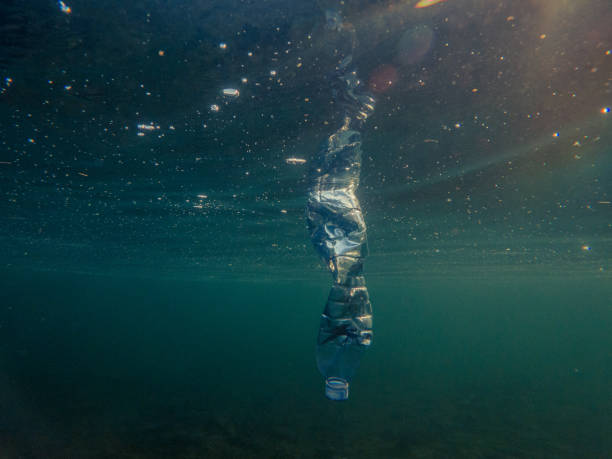 istock Underwater plastic pollution, Bottle of water floating in water 1907394631