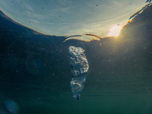 istock Underwater plastic pollution, Bottle of water floating in water 1907396747
