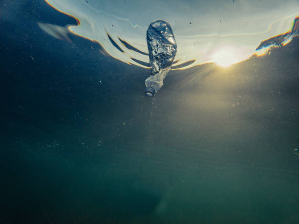 istock Underwater plastic pollution, Bottle of water floating in water 1907397267