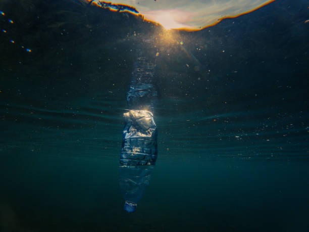 istock Underwater plastic pollution, Bottle of water floating in water 1907397270