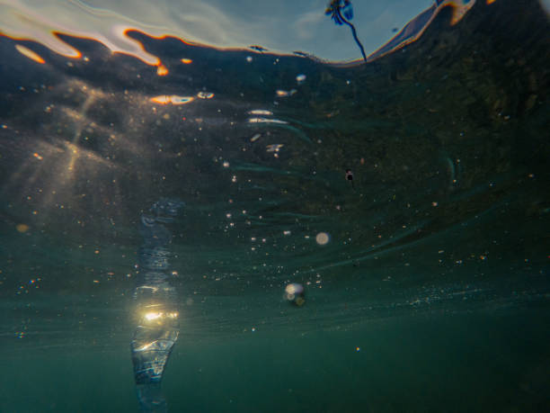 istock Underwater plastic pollution, Bottle of water floating in water 1907398841