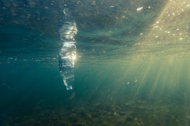 istock Underwater plastic pollution, Bottle of water floating in water 1907405716