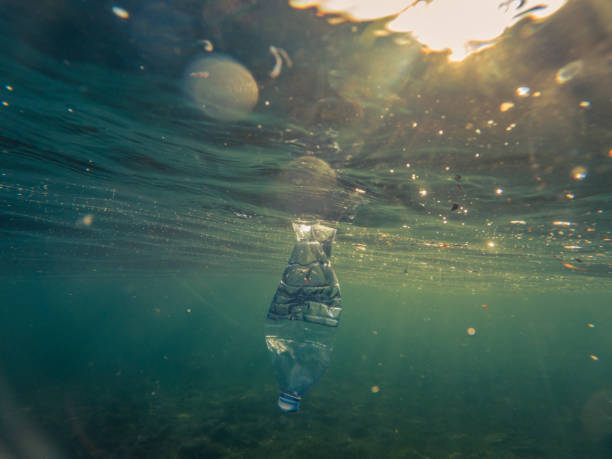 istock Underwater plastic pollution, Bottle of water floating in water 1907406237
