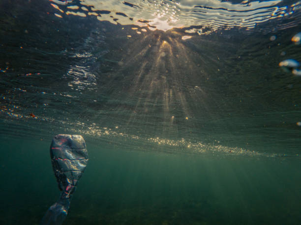 istock Underwater plastic pollution, Bottle of water floating in water 1907406239