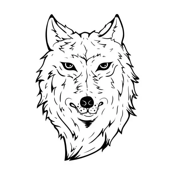 Vector illustration of wolf head drawing on white