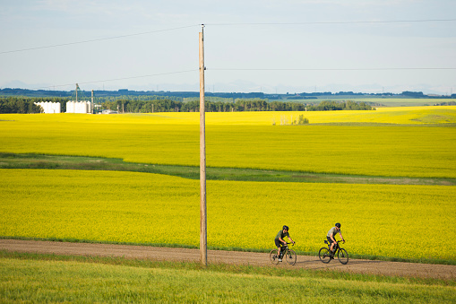 Two men go for a gravel bike ride past fields of canola on a country road near Calgary, Alberta, Canada, in the summertime. Gravel bikes are like road bikes but with sturdy wheels and tires for riding on rough terrain. Both bikes have frame bags and a seat bag to carry tools, food, and extra clothing. The Rocky Mountains of Alberta are visible in the background.