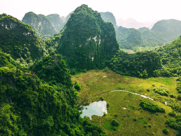 istock Drone view over Tam Coc with karst formations and cattle, Ninh Binh province, Vietnam 1907467921