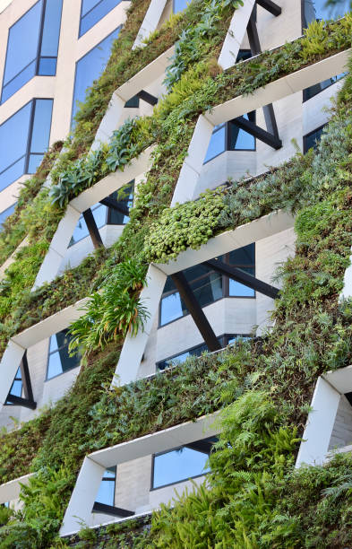 istock Vertical garden with an assortment of tropical plants 1907497864