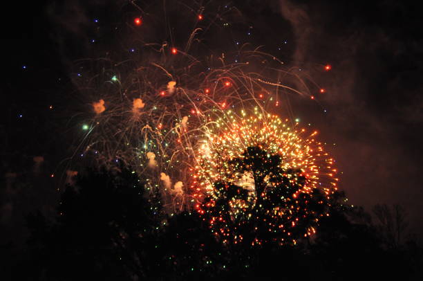 istock New Year's Spectacle: Magic Kingdom Fireworks Show in Florida, USA 1907511816