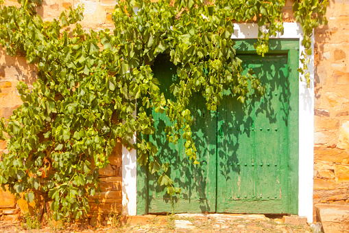 Traditional wooden door painted green , stone house, beautiful vine plant for shadow purposes . Castrillo de los Polvazares, León, Castilla y León, Spain.