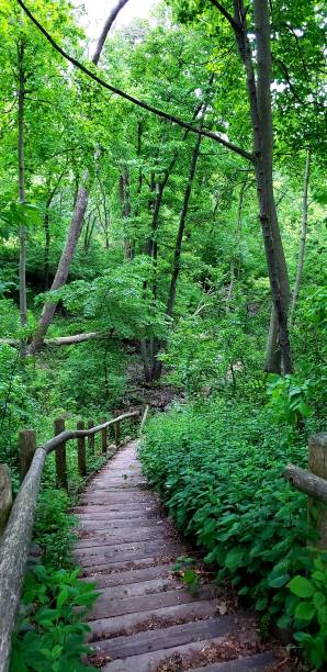 istock Bridges from my travels 1907533376