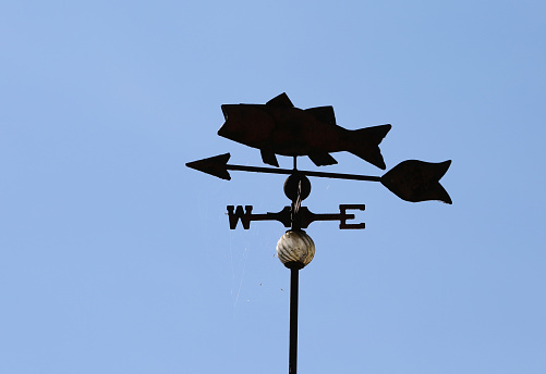 Weathervane in dove shape, black and white. Galicia, Spain, copy space available.