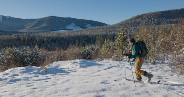 istock Young man backcountry skis in clearing 1907545268