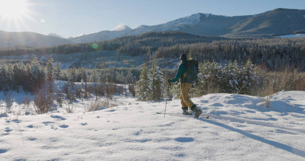 istock Young man backcountry skis in clearing 1907545270